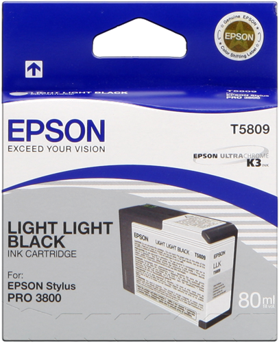 Epson T5809 lightlightblack kardiż atramentowy
